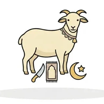 Bakra Eid Collection