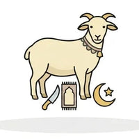 Bakra Eid Collection